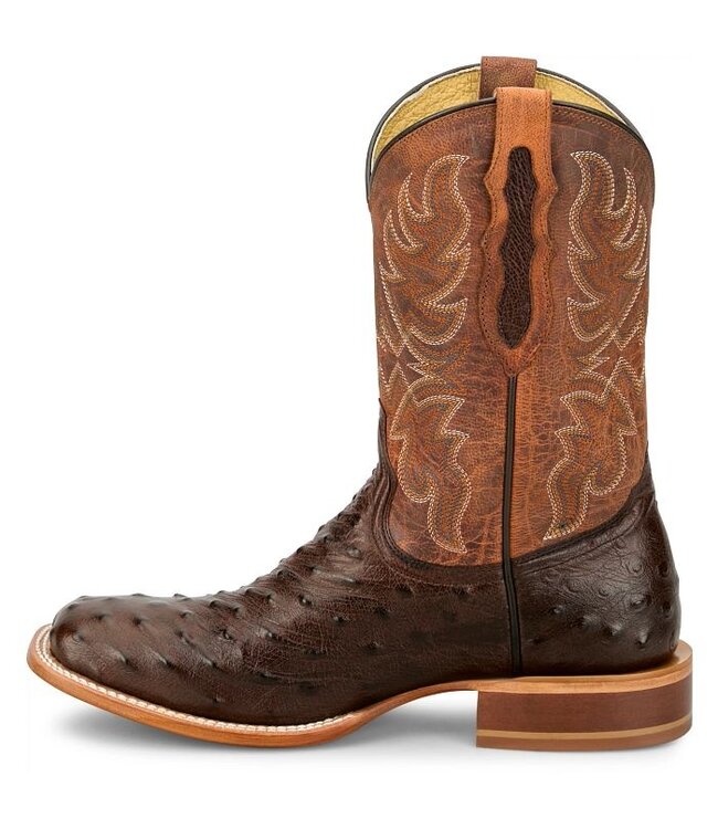 RN3572 Blaine Kango Ostrich