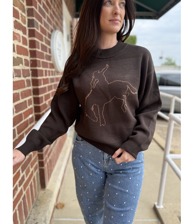 112383026 WMN LS Sweater