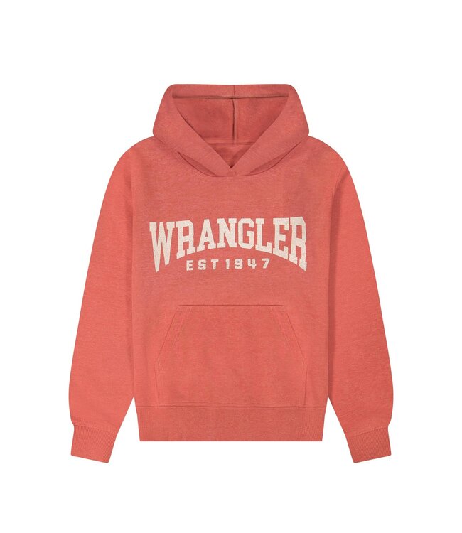 112383999 Boys Hoodie