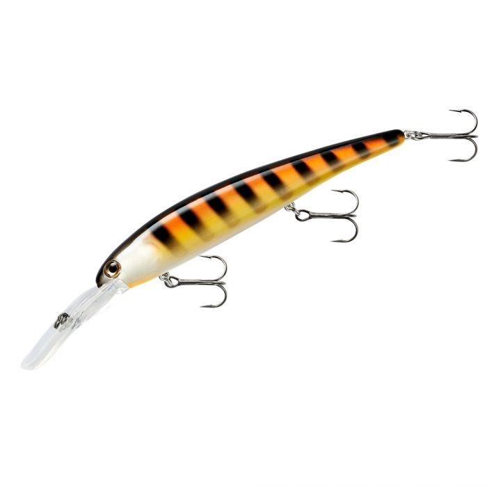 sports specialist Bandit Original Bumble Bee
