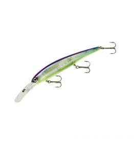 sports specialist Bandit Original Blue Shiner