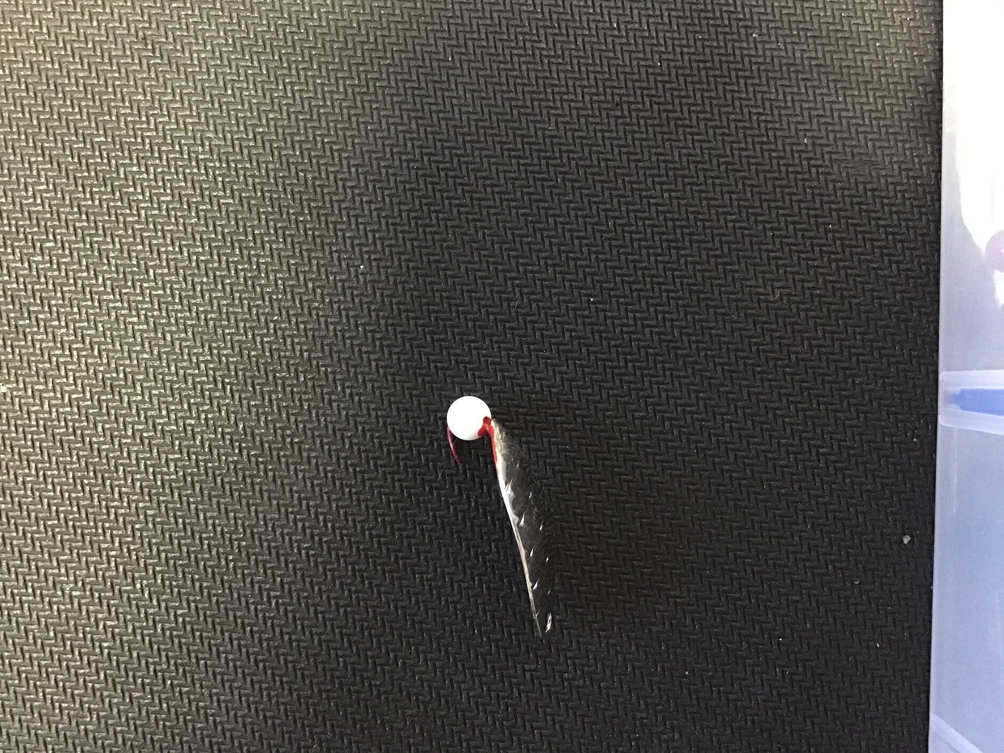 Diamond Willow Diamond Willows (N) White