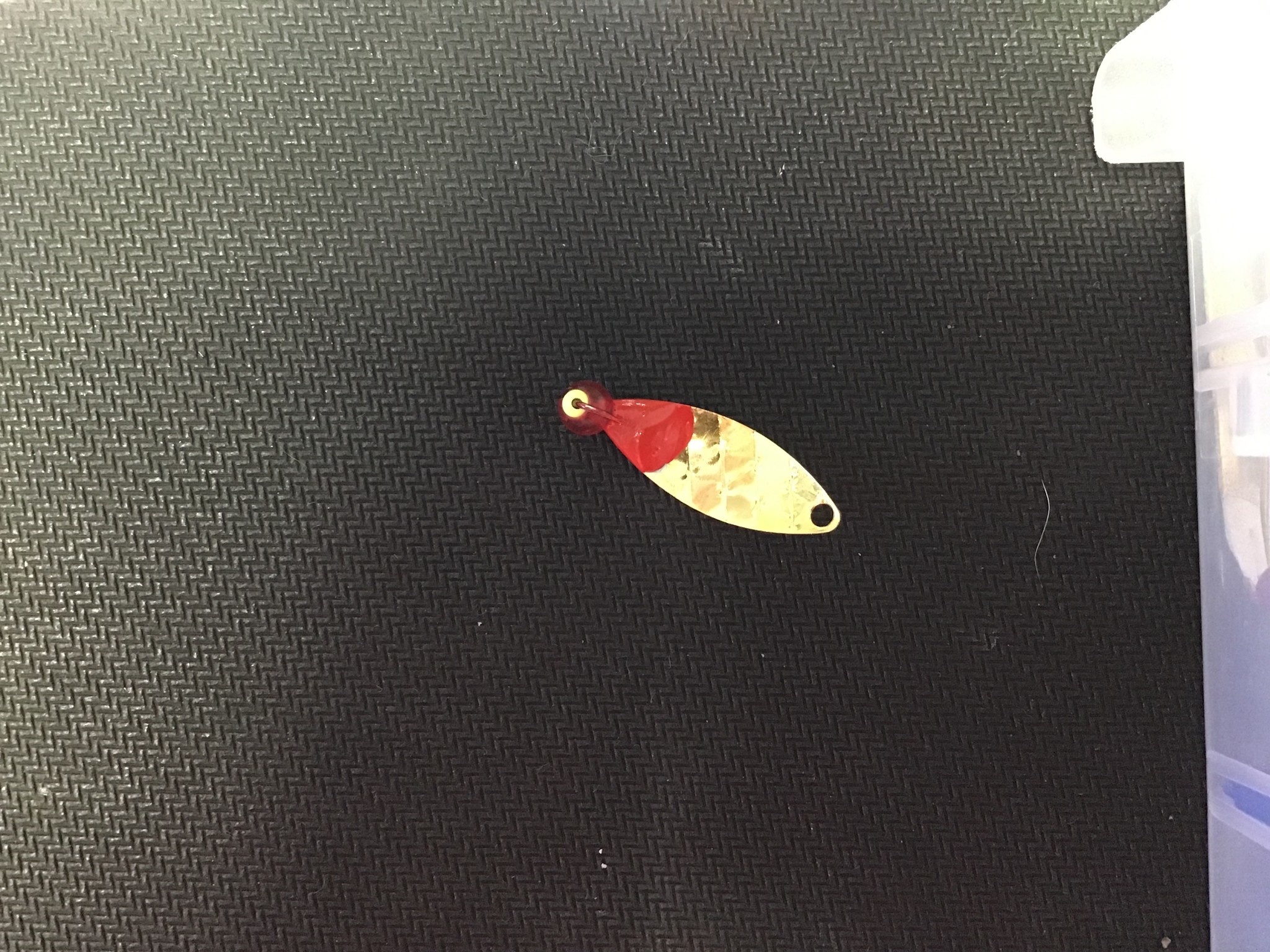 Diamond Willow Diamond Willow (G) Red