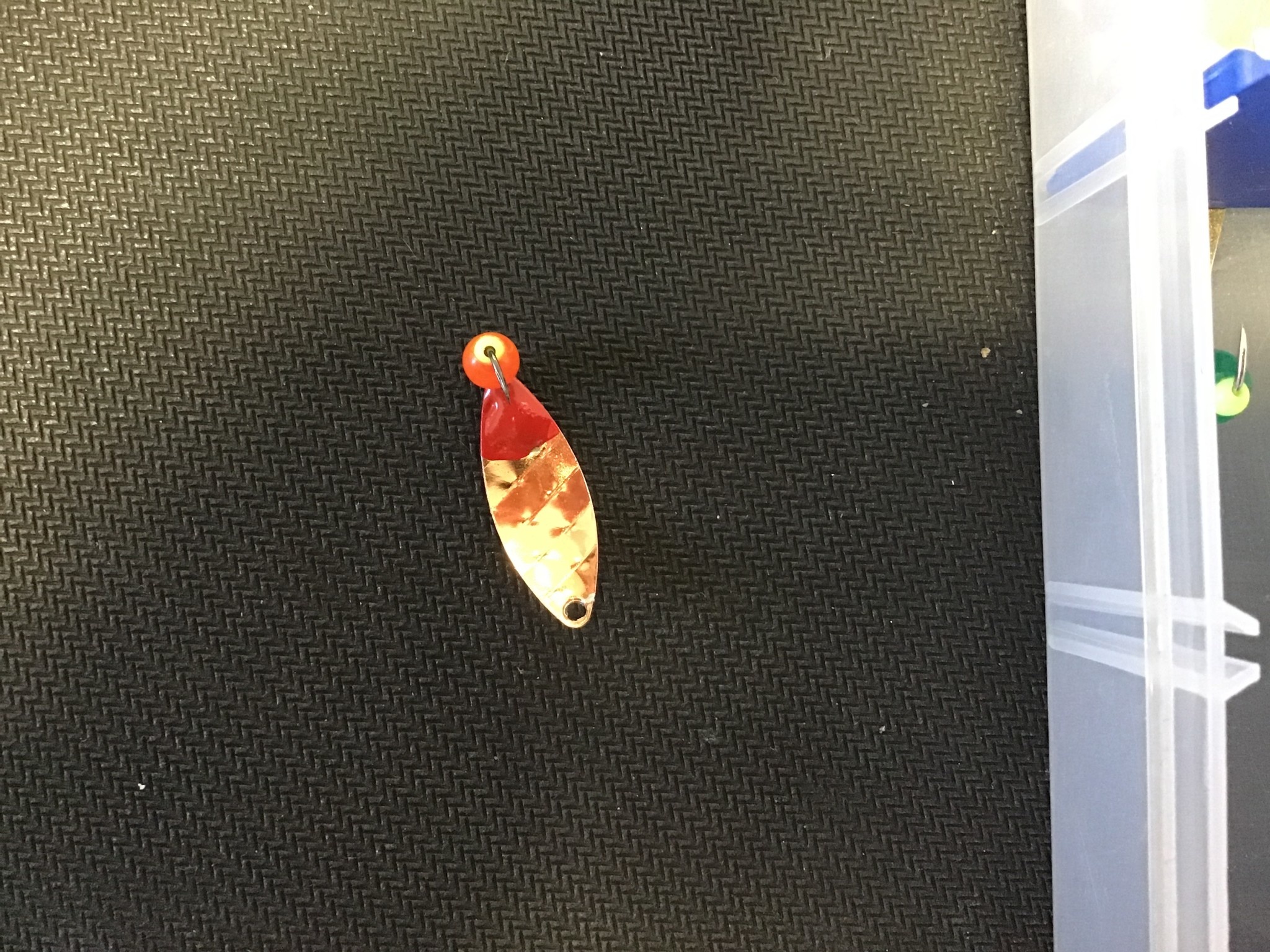 Diamond Willow Diamond Willows (G) Orange