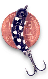 kendersoutdoors Kenders M. Maggot Tungsten Blk/Wh Spots-#16 Hook