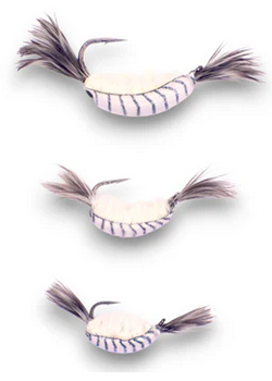 kendersoutdoors Kenders Shrimp Glow Tungsten  White-1/64 oz. #12 Hook