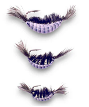 kendersoutdoors Kenders Shrimp Glow Tungsten Black-1/64 oz. #12 Hook