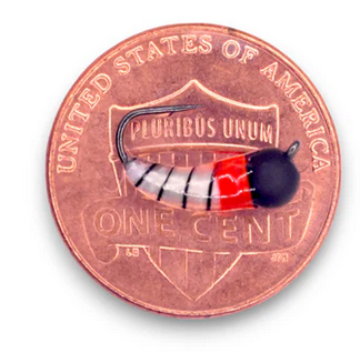 kendersoutdoors Kenders Akua Skud Tungsten Blk/Red/ White 1/64 oz. #12 Hook