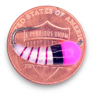 kendersoutdoors Kenders Akua Shud Tungsten Pk/White/Blk -1/16oz. #8 Hook