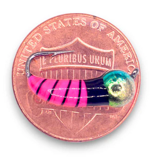 kendersoutdoors Kenders Akua Skud Tungsten Metallic Rainbow Pk.-1/16 oz. #8Hook