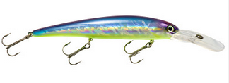 sports specialist Bandit Original Blue Shiner