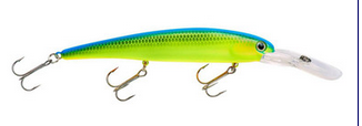 sports specialist BANDIT Original CHT-BLUE