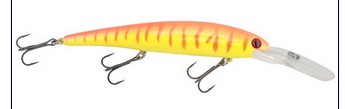 sports specialist Bandit Original Red Fire Tiger