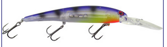 Baumler Outdoor JT Custom Bandit Purpledescent
