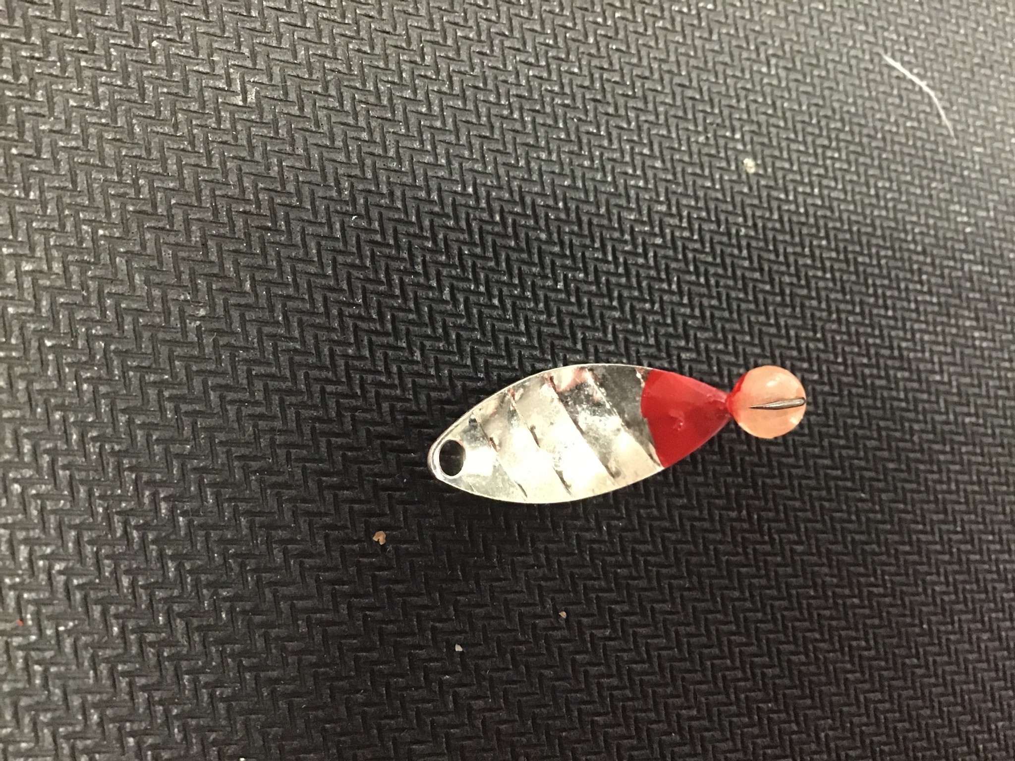 Diamond Willow Diamond Willow (N) Orange Glow