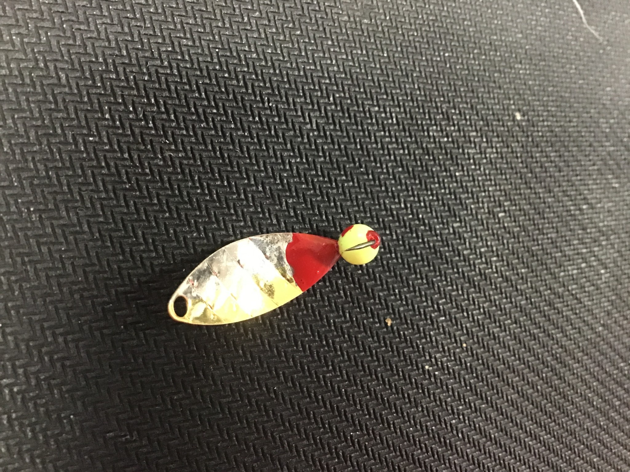 Diamond Willow Diamond Willow 50/50 Chartreuse