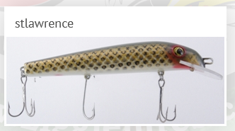 Ziggie's Ziggie 6" Straight St.Lawrence