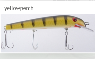Ziggie's Ziggie 6" Straight Yellow Perch