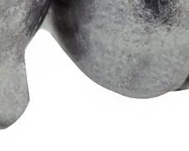 Grapentin Specialties Inc. Eagle Claw Split Shot #5