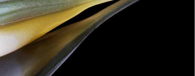 Lunker City Fishing Specialties Fin Shad 1.75" Arkansas Shiner #06
