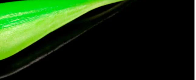 Lunker City Fishing Specialties Fin Shad 1.75" Limetreuse #174