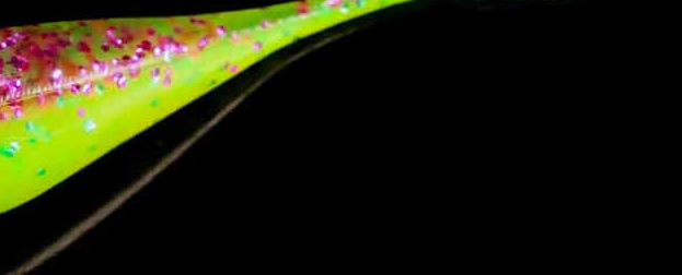 Lunker City Fishing Specialties Fin Shad 1.75" Pimp Daddy #239