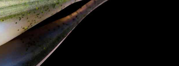 Lunker City Fishing Specialties Fin Shad 1.75" Smelt #116