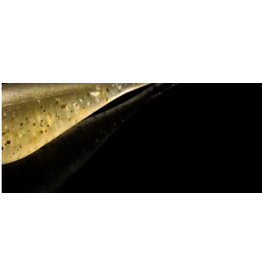 Lunker City Fishing Specialties Fin Shad 1.75" Tennessee Flash #263