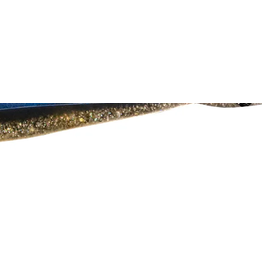 Lunker City Fishing Specialties Fin-S 4" Sugar Shiner #295