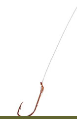 Grapentin Specialties Inc. Hook FJN Snelled Hook #4