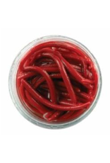 GULP ALIVE JAR ANGLE WORM WIGG GAJAW-RDW