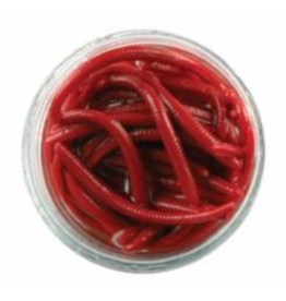 GULP ALIVE JAR ANGLE WORM WIGG GAJAW-RDW