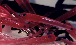 Thump'Em Wax Wiggler 1" Blood Crazy*/