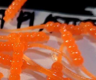 Thump'Em Wax Wiggler 1" Flo. Orange*/