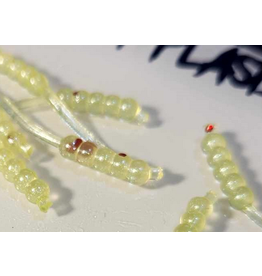 Thump'Em Wax Wiggler 1" Pearly Fire Treuse*/