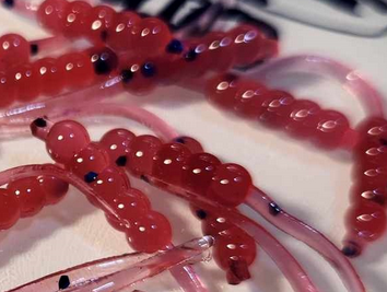 Thump'Em Wax Wiggler 1.35" Blood Crazy*/