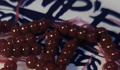 Thump'Em Wax Wiggler 1.35" Skarlet Blood*/