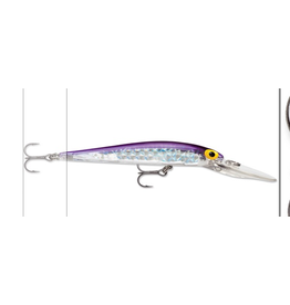 sports specialist Thunderstick Jr. Prizm Purple