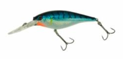 sports specialist BER.FLICKER SHAD #5 BLUE TIGER