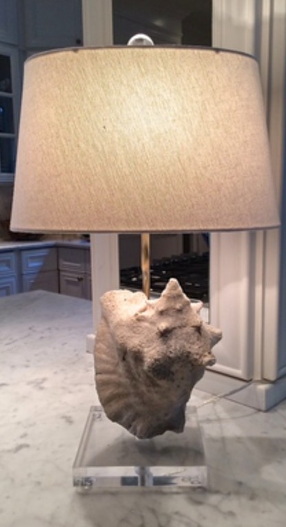 conch shell table lamp