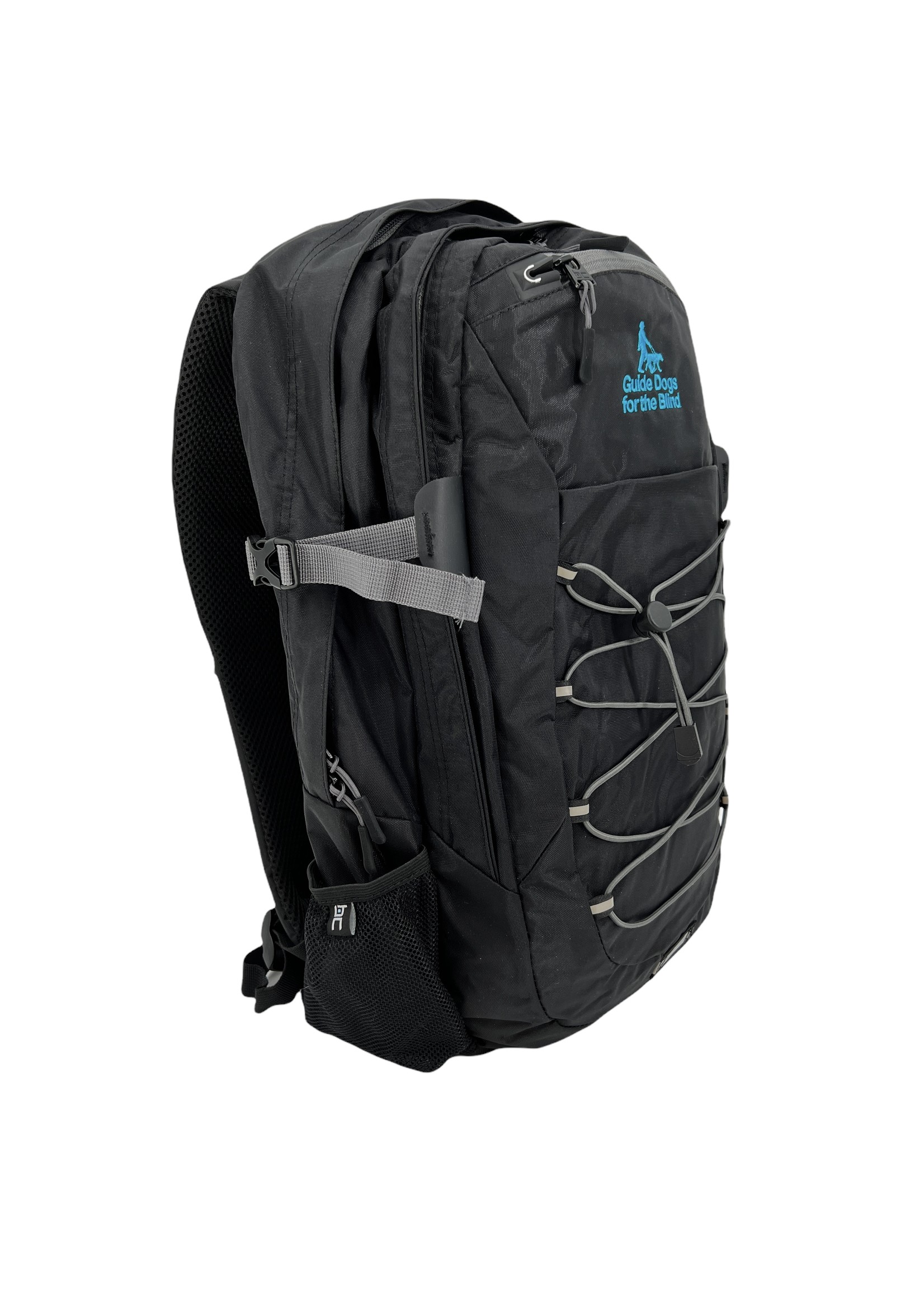 Leader of the Pack Black Mini Backpack