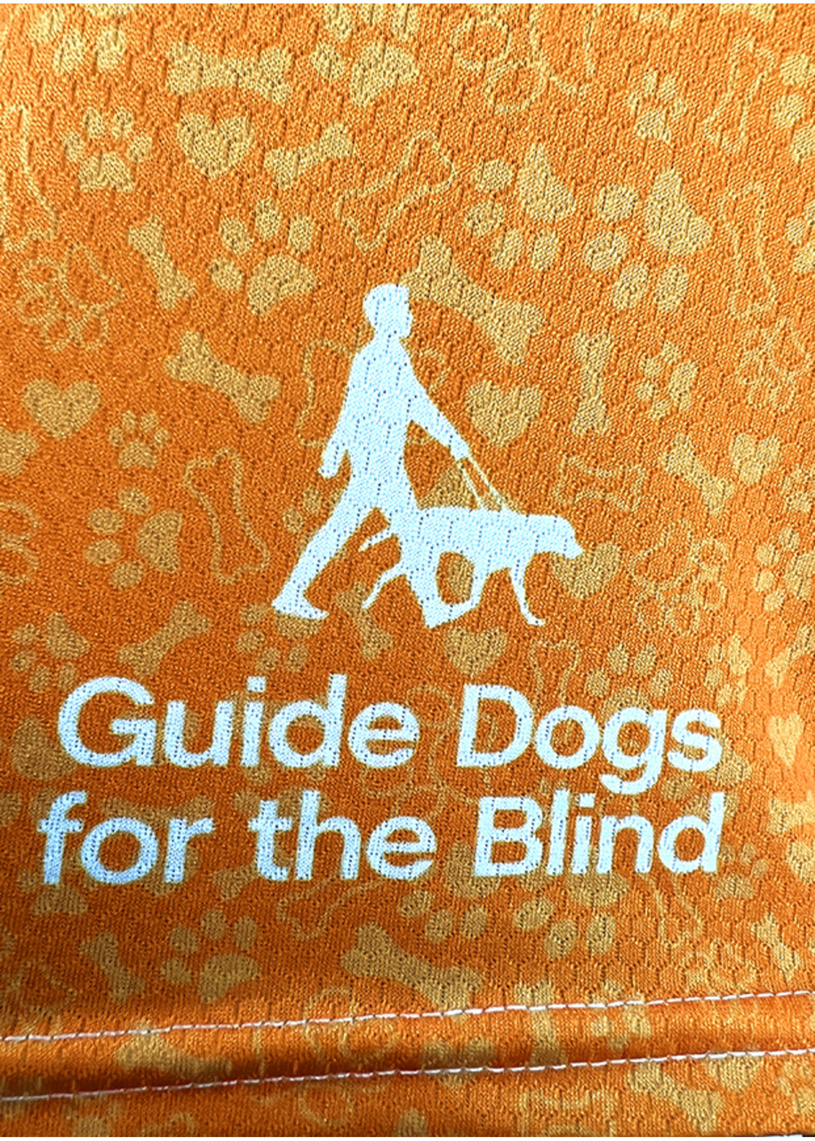Cycle Jersey - Guide Dogs for the Blind