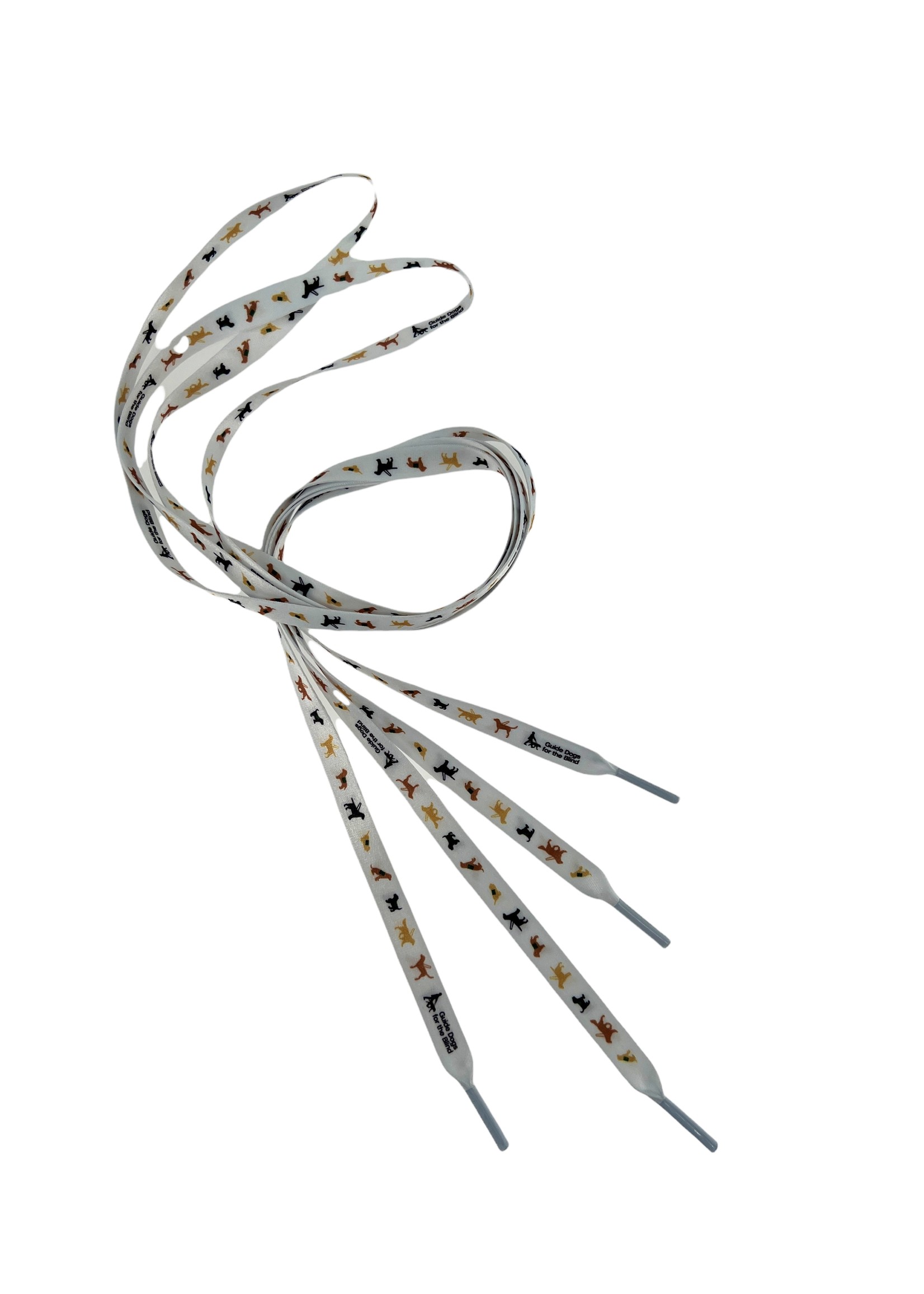 Shoelaces Guide Dogs for the Blind