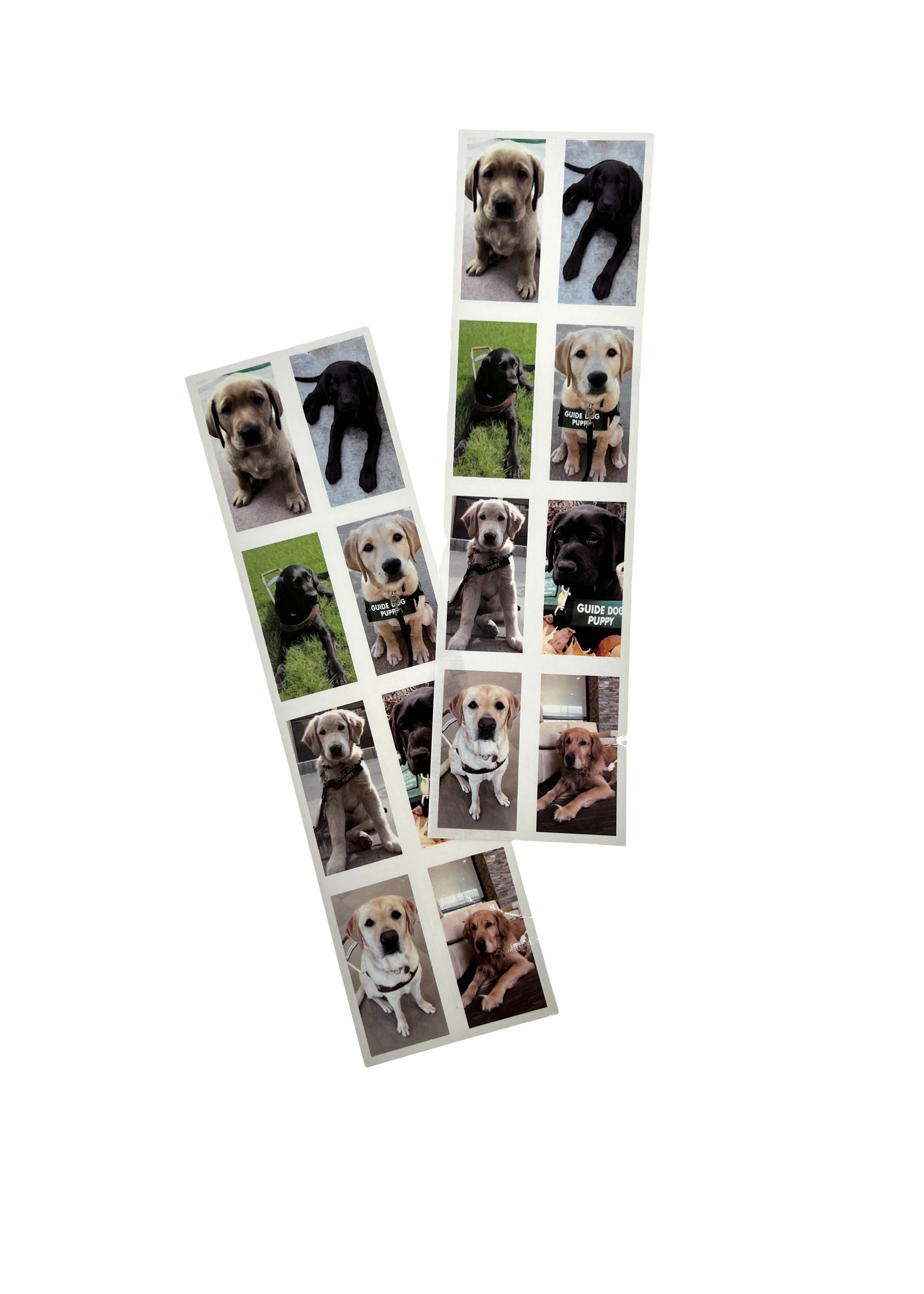 sticker-sheet-guide-dogs-for-the-blind
