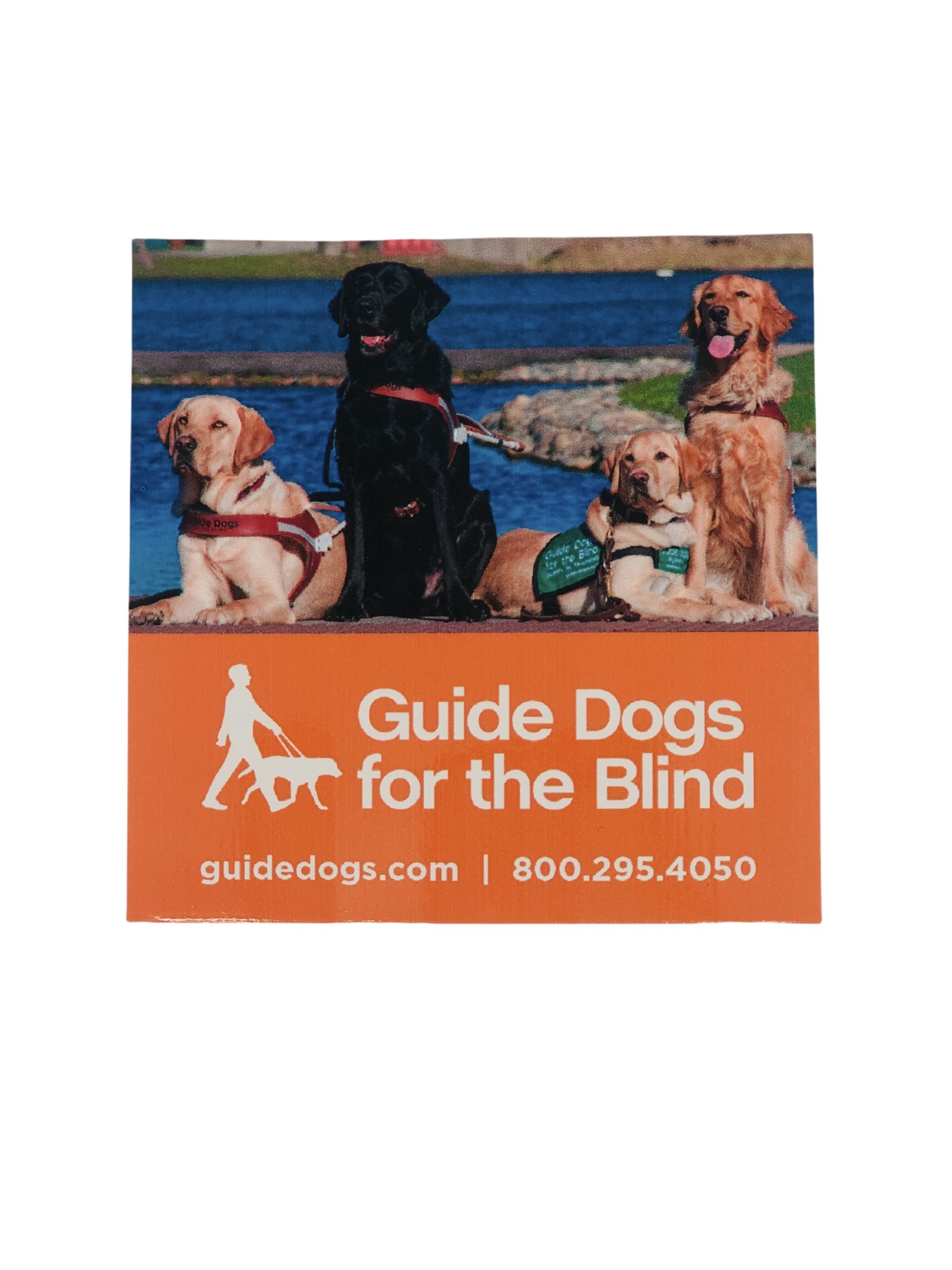 GDB removable decal (4 dogs) Guide Dogs for the Blind