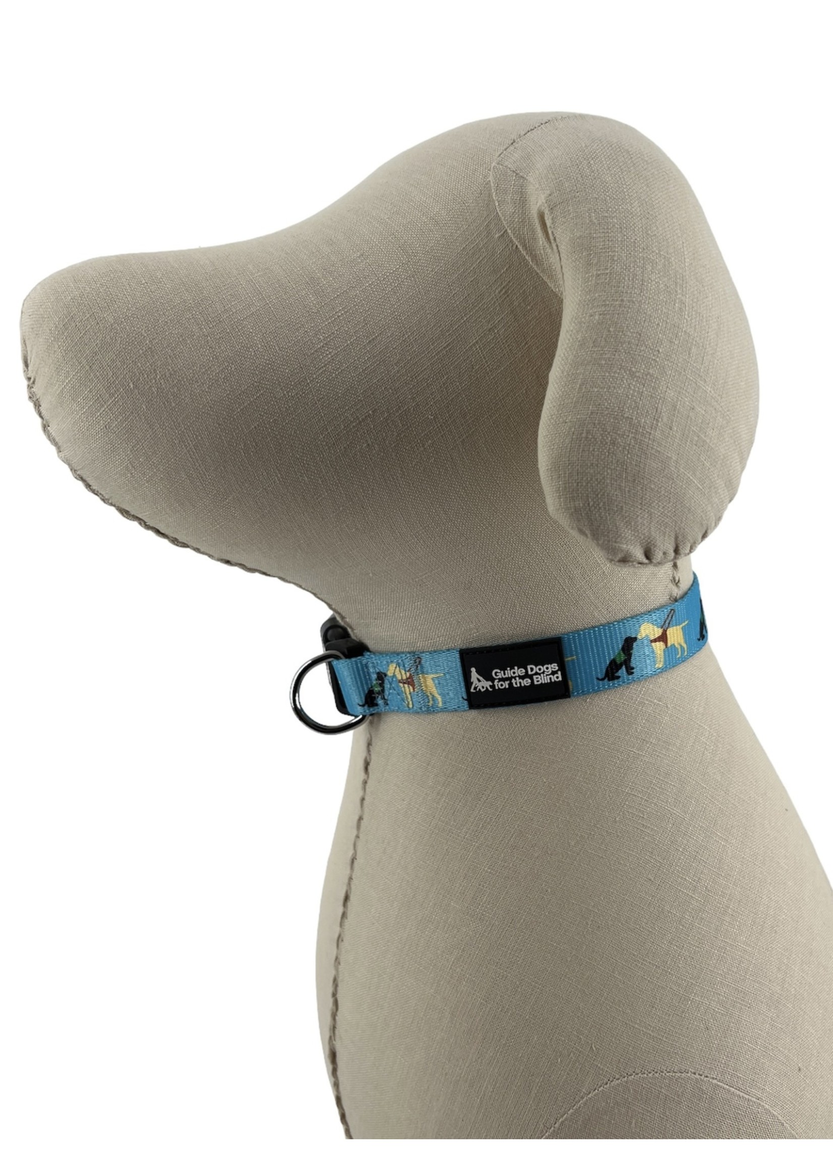 Pup and Guide Collar