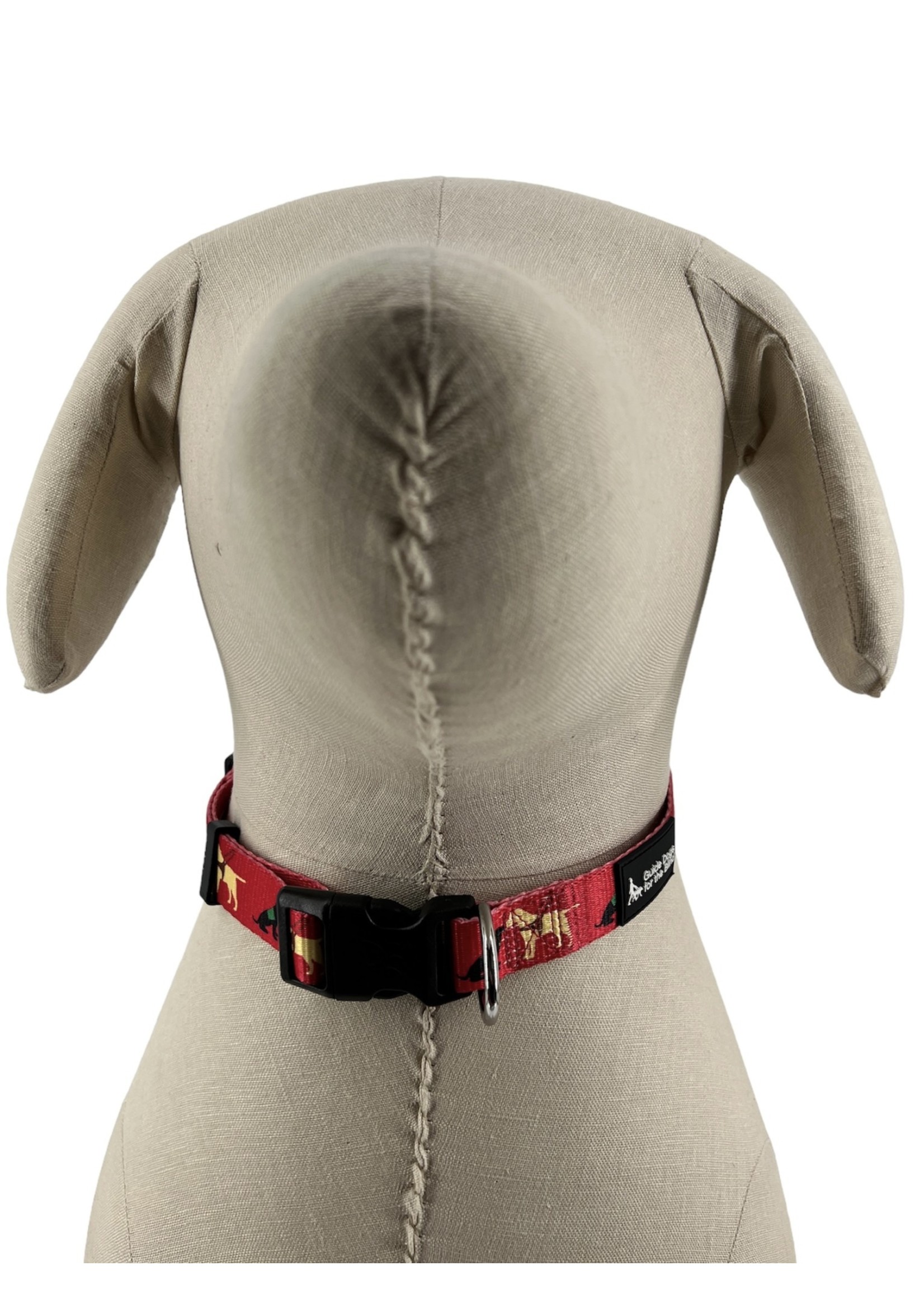 Pup and Guide Collar