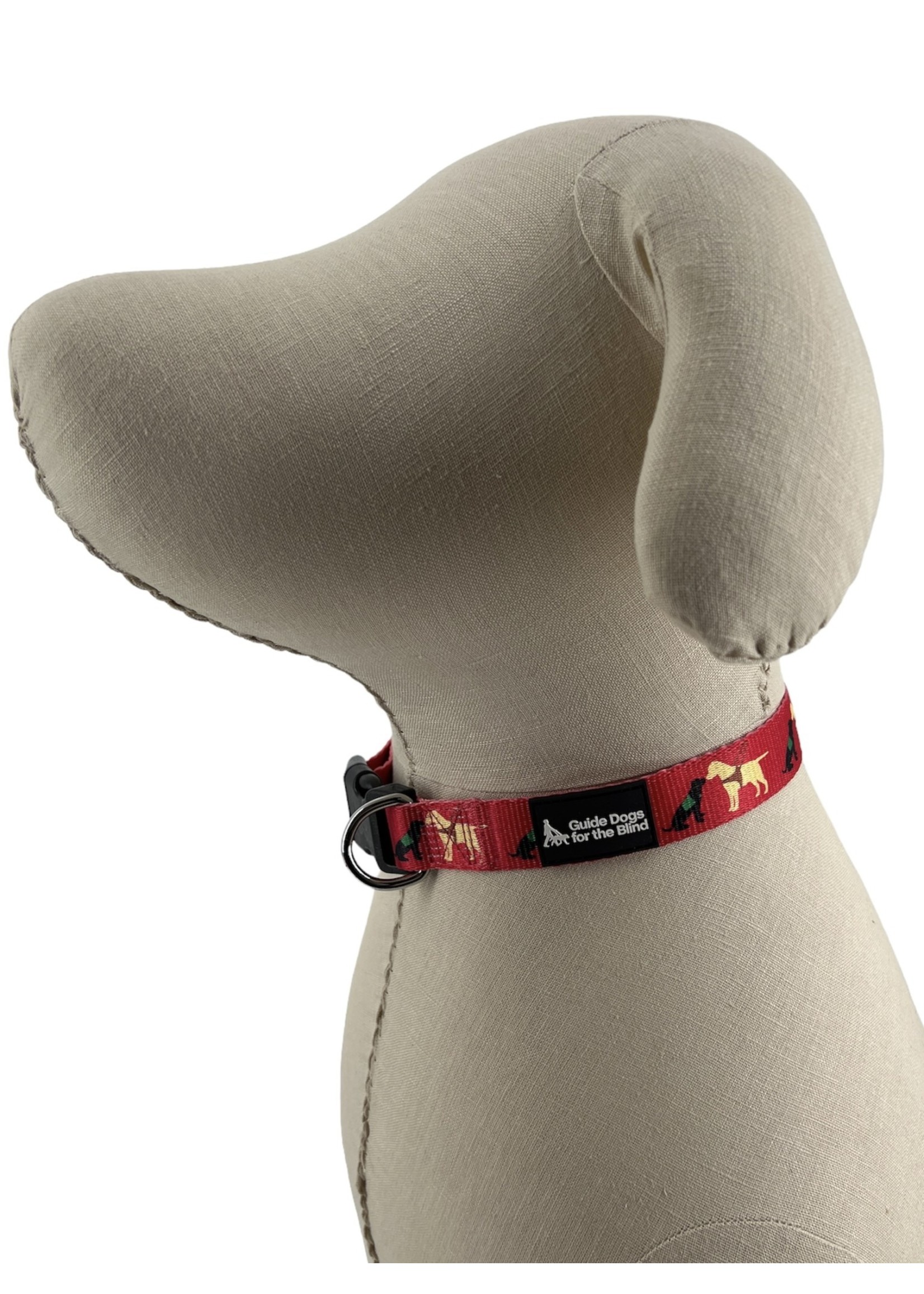 Pup and Guide Collar