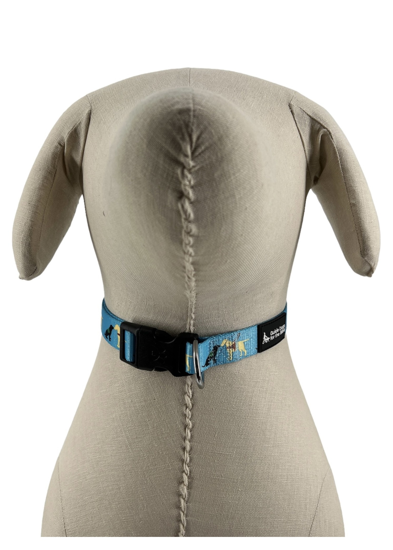 Pup and Guide Collar