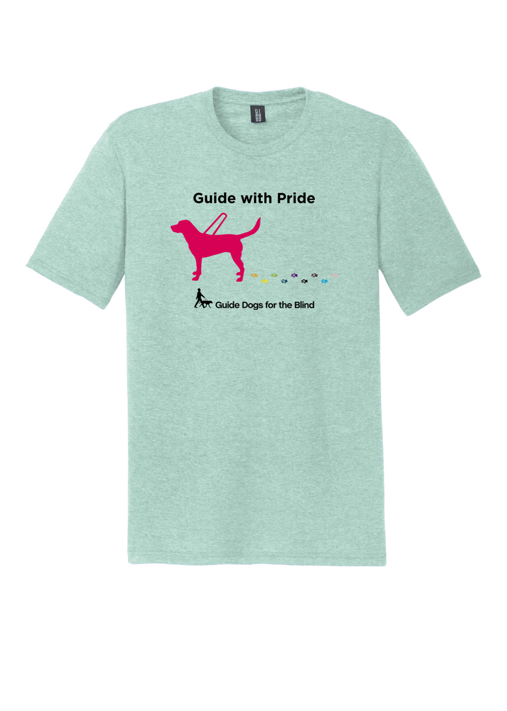 Relaxed Guide With Pride Dog  Tee